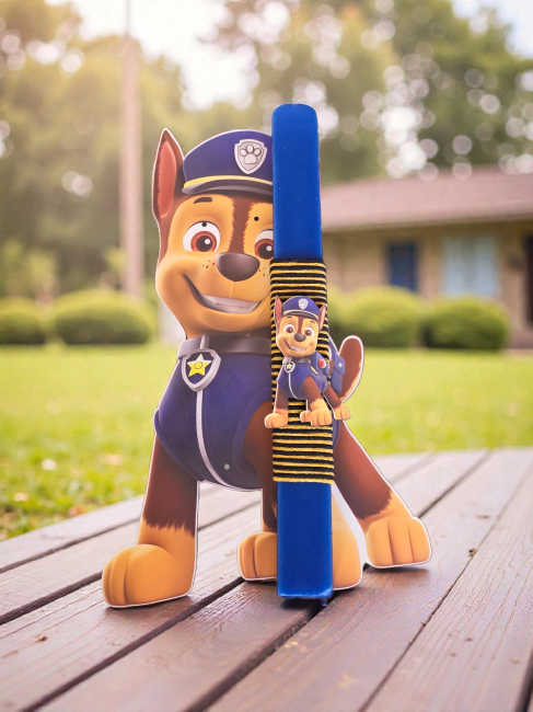 PAW PATROL
